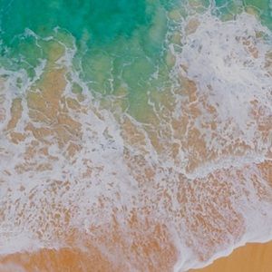 Meet your Posher, Rick